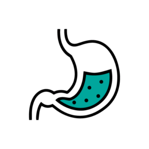 Agarwal Medical Tourism-Gastrology