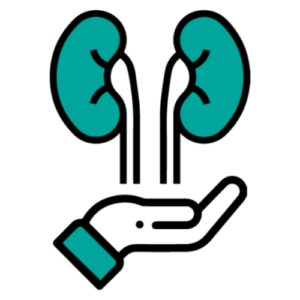 Kidney Transplant