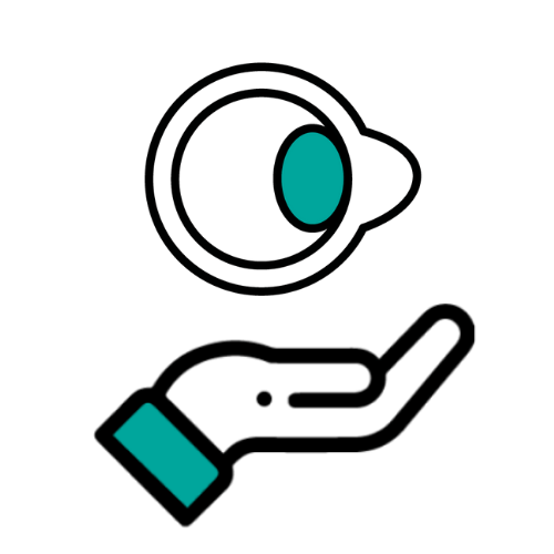 Cornea Transplant