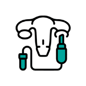 Gynocology