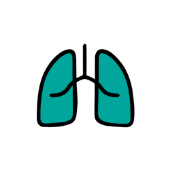 Pulmology