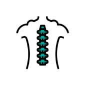 Spine