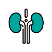 Urology